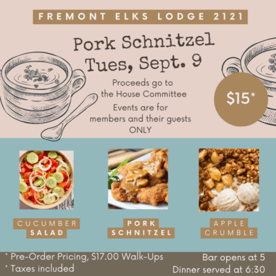 TND- Pork Schnitzel Dinner 9/9