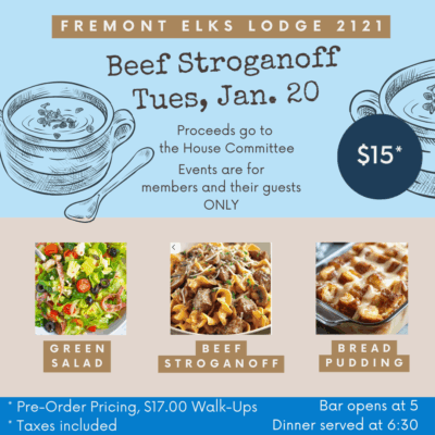 TND- Beef Stroganoff Dinner