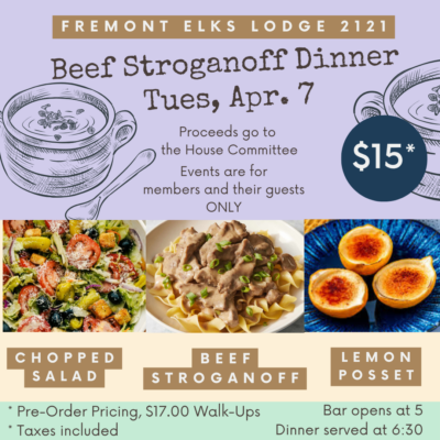 TND- 4/3 Beef Stroganoff Dinner